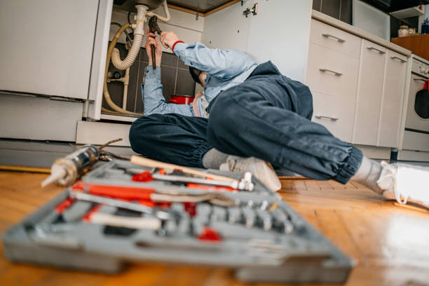 Best Local Plumber Services  in Horatio, AR