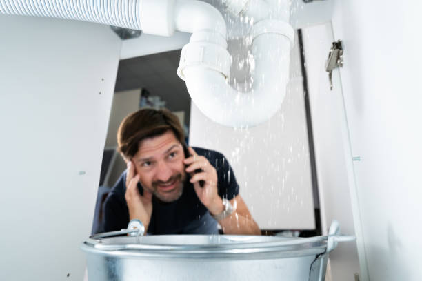 Best Gas Line Repair  in Horatio, AR