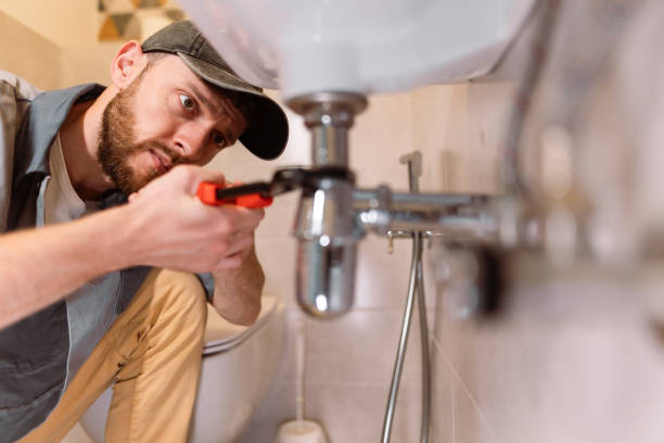 Best Commercial Plumbing Services  in Horatio, AR